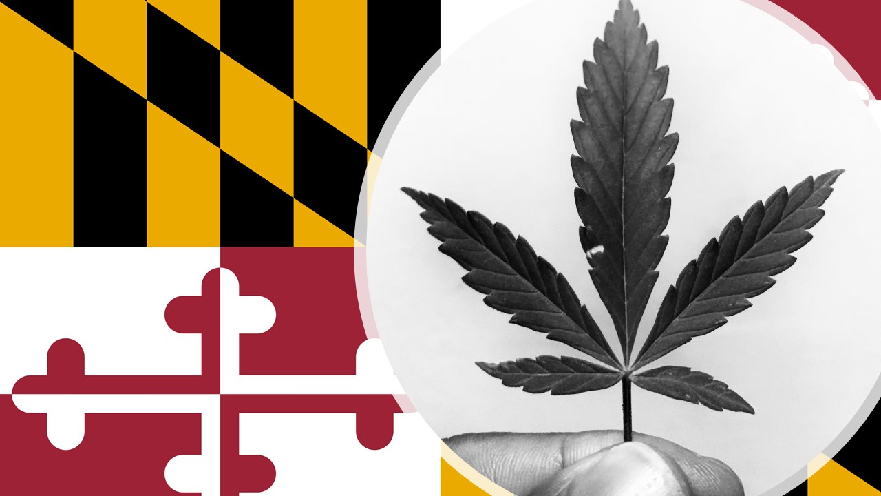 The Complete Maryland Cannabis Licensing Guide